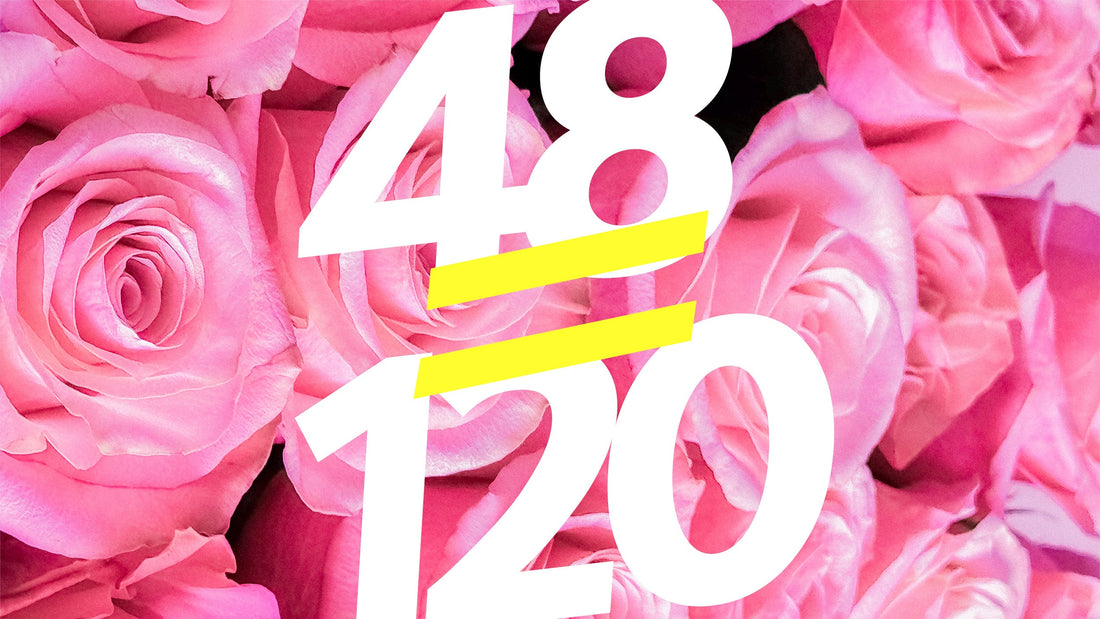 Summer Special: 48 Roses for Just $120 🌹