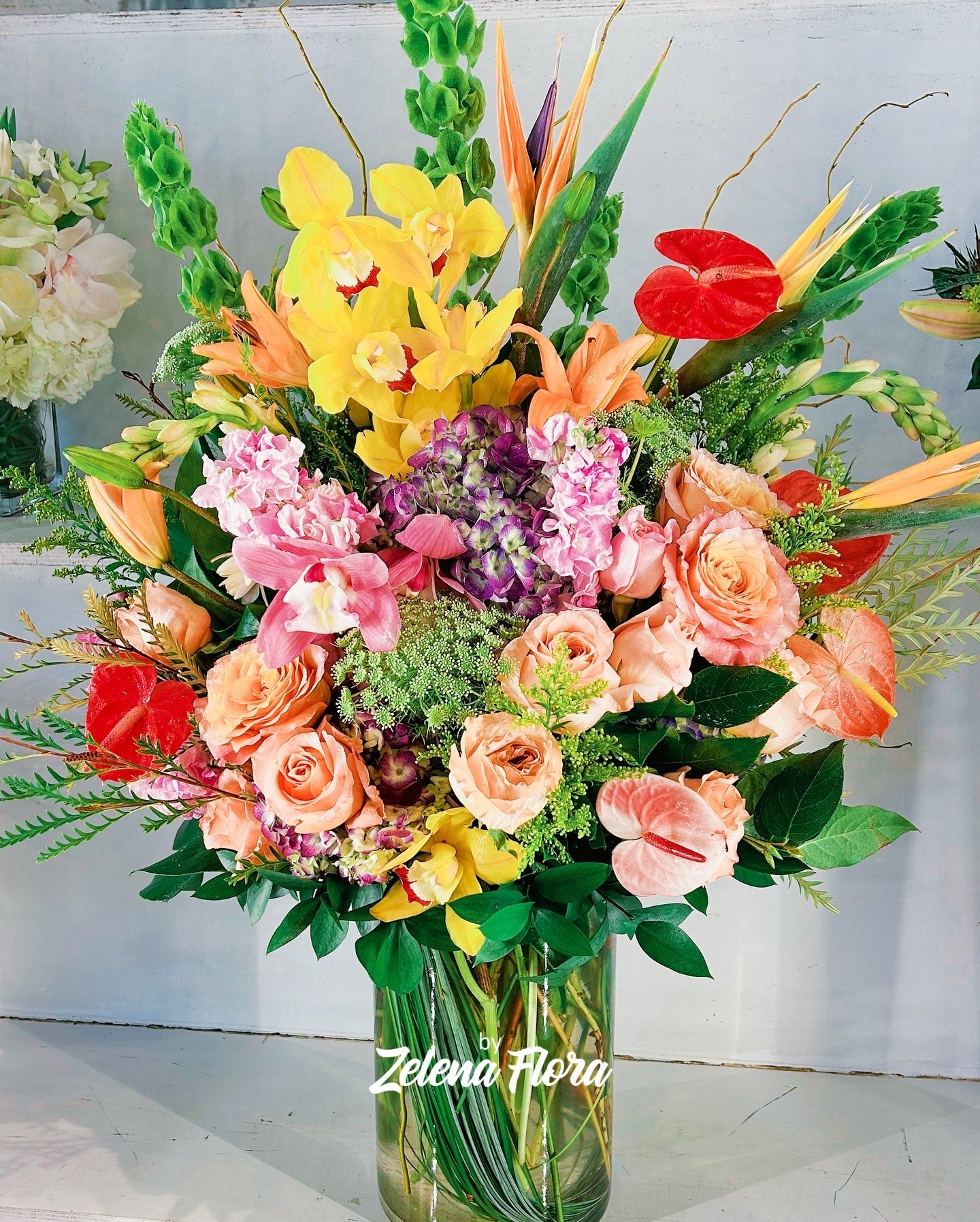 Blissful Bloom