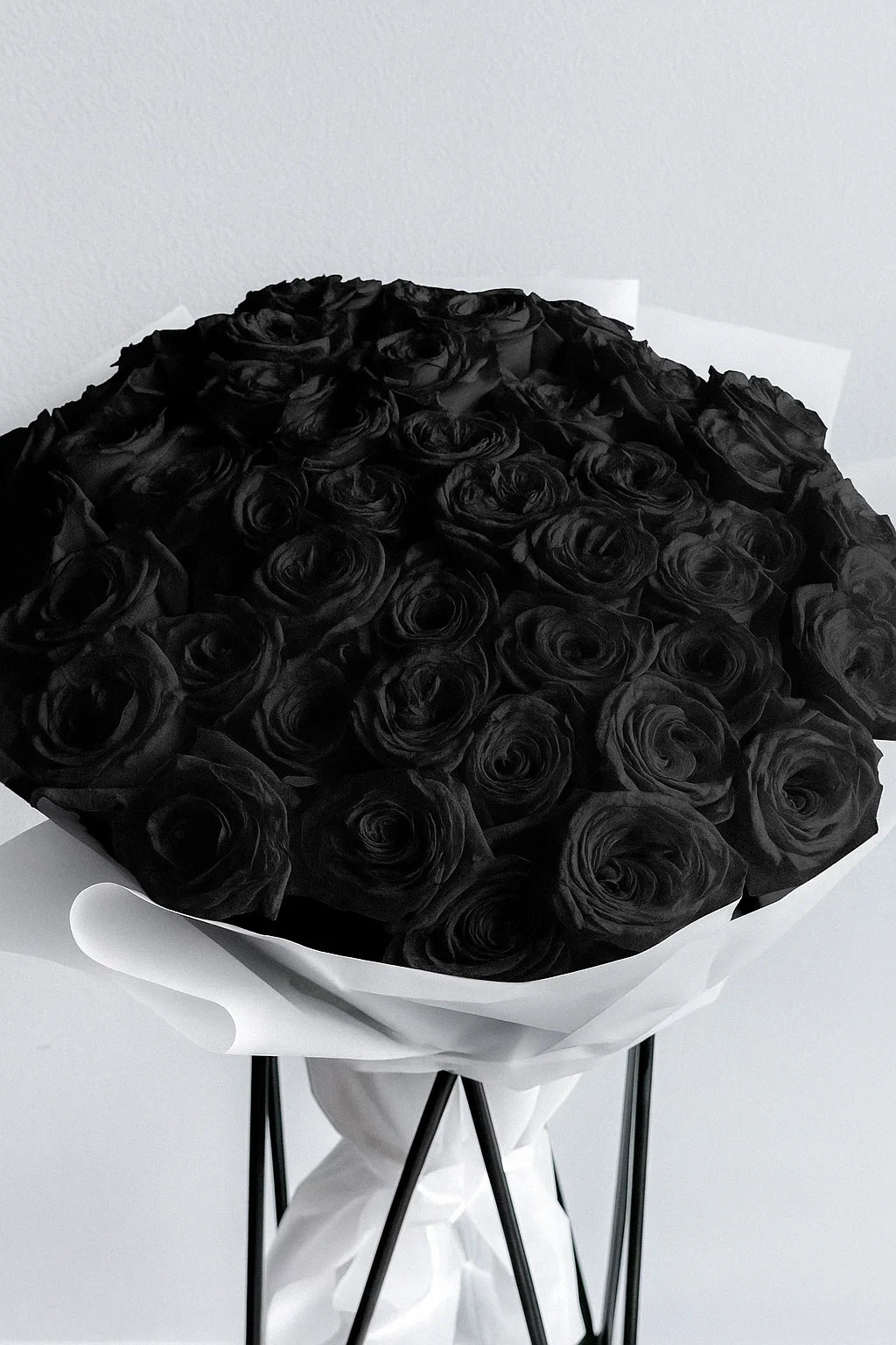 Long Stem Roses