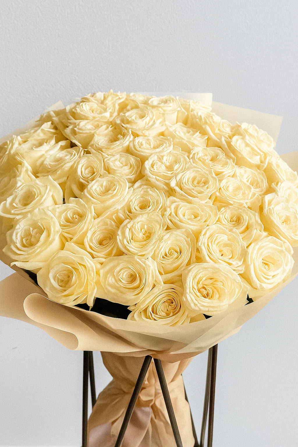 Long Stem Roses