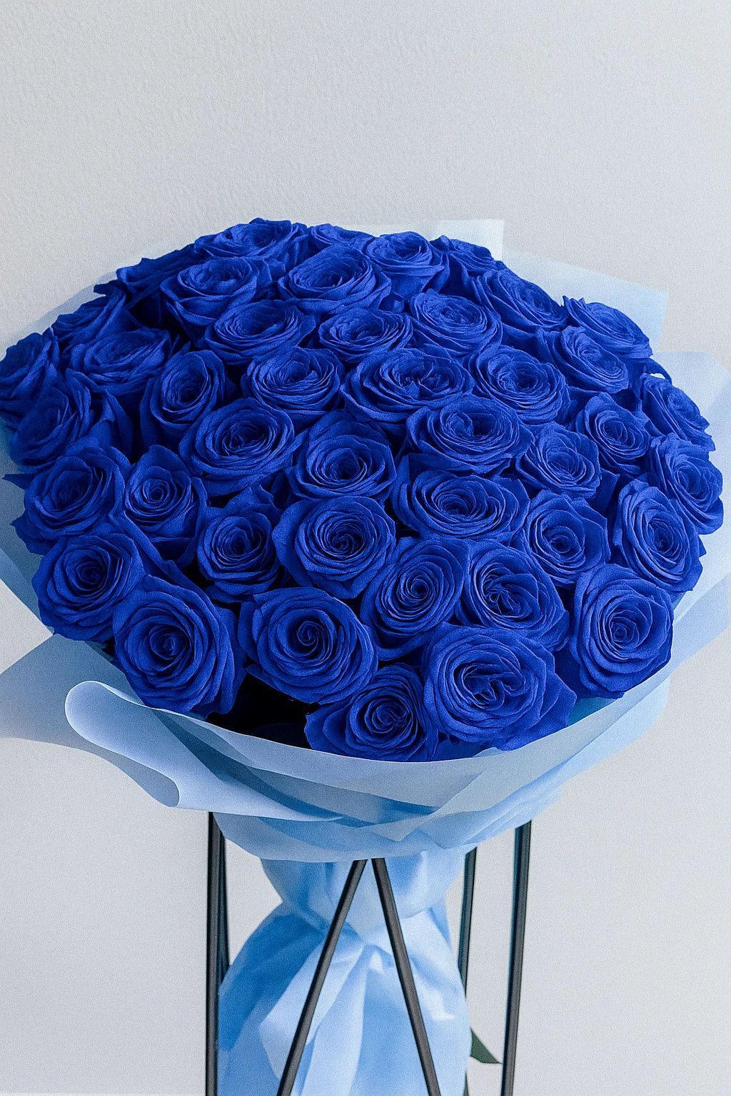 Long Stem Roses