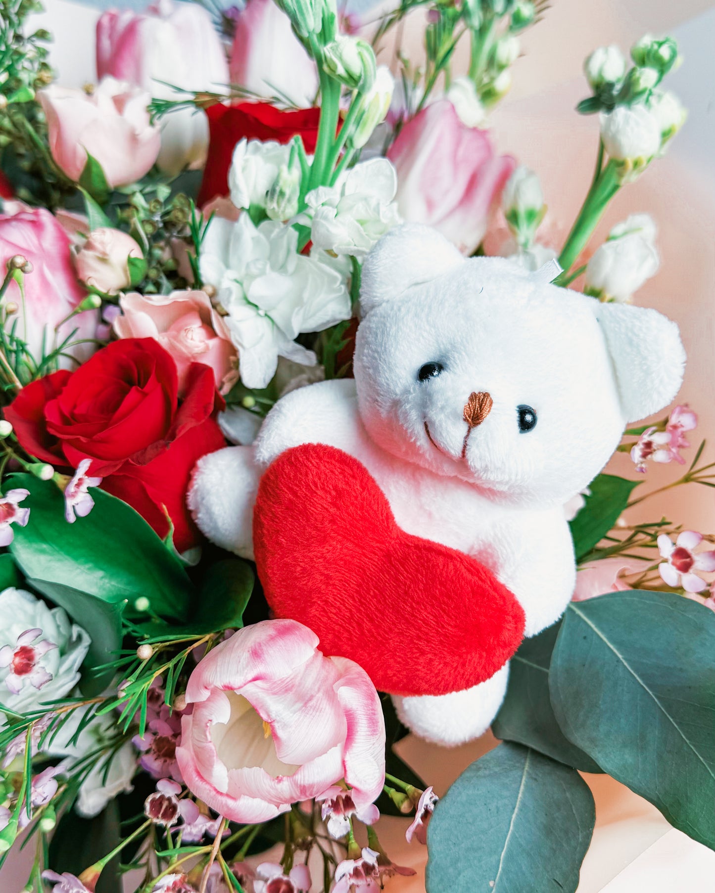Teddy Touch