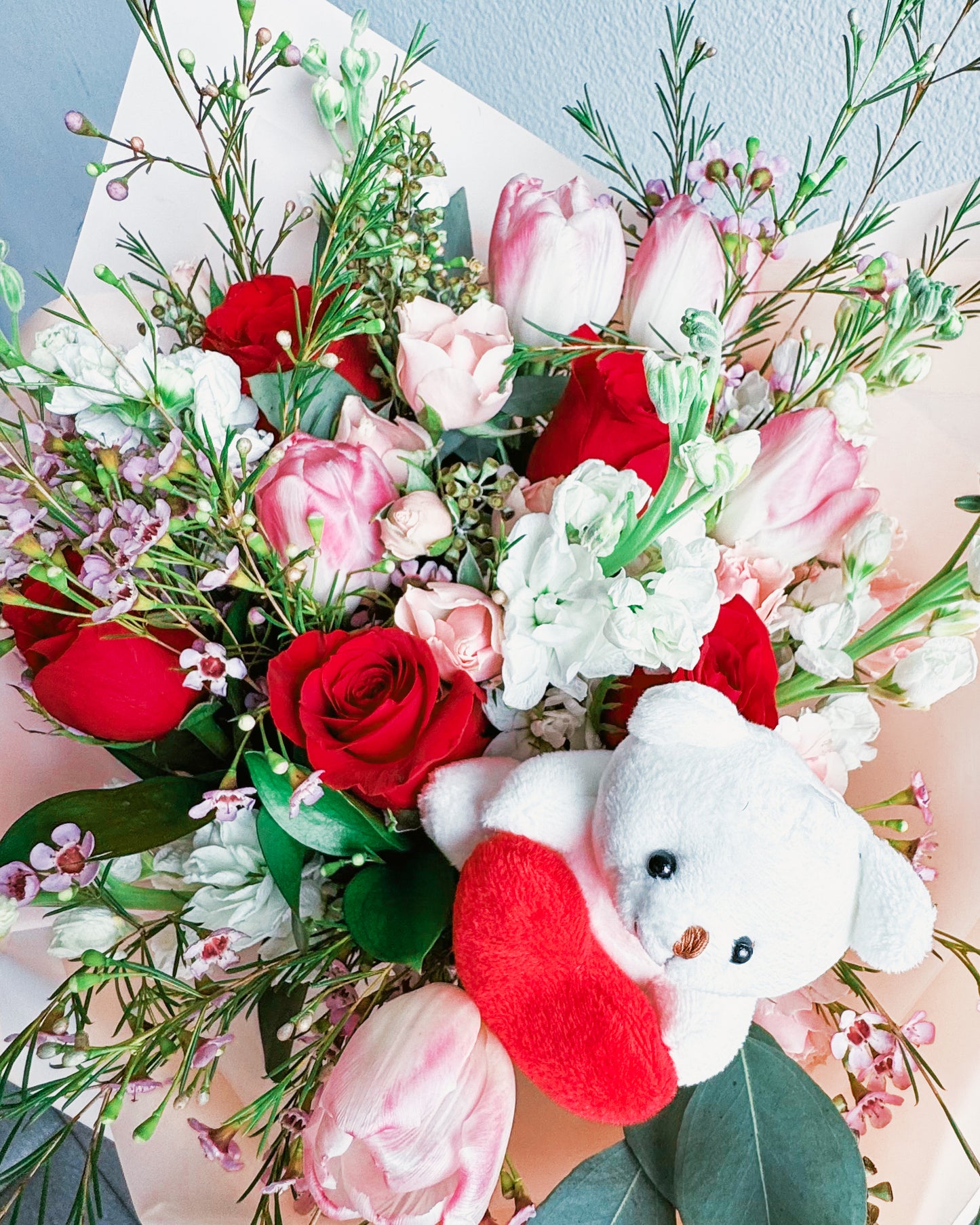 Teddy Touch
