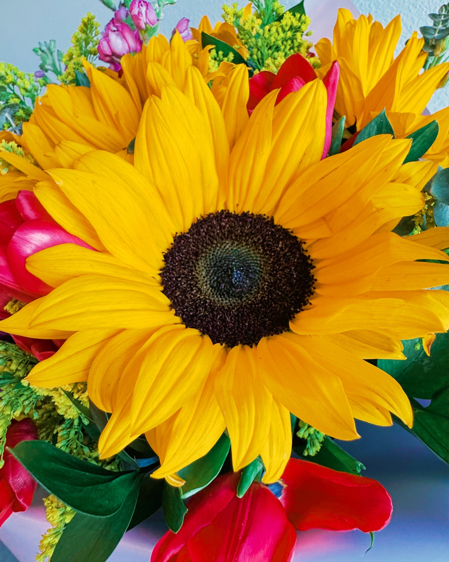 Bright Bloom
