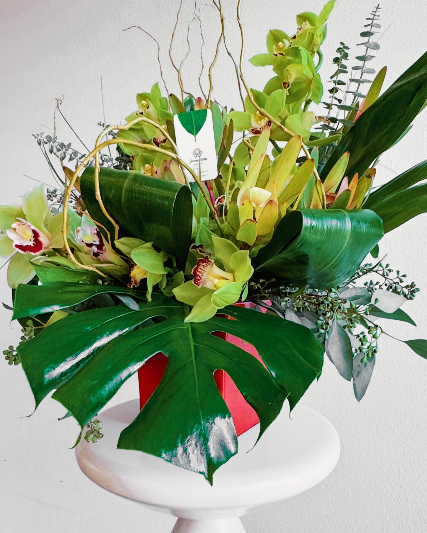 Jungle Jewel