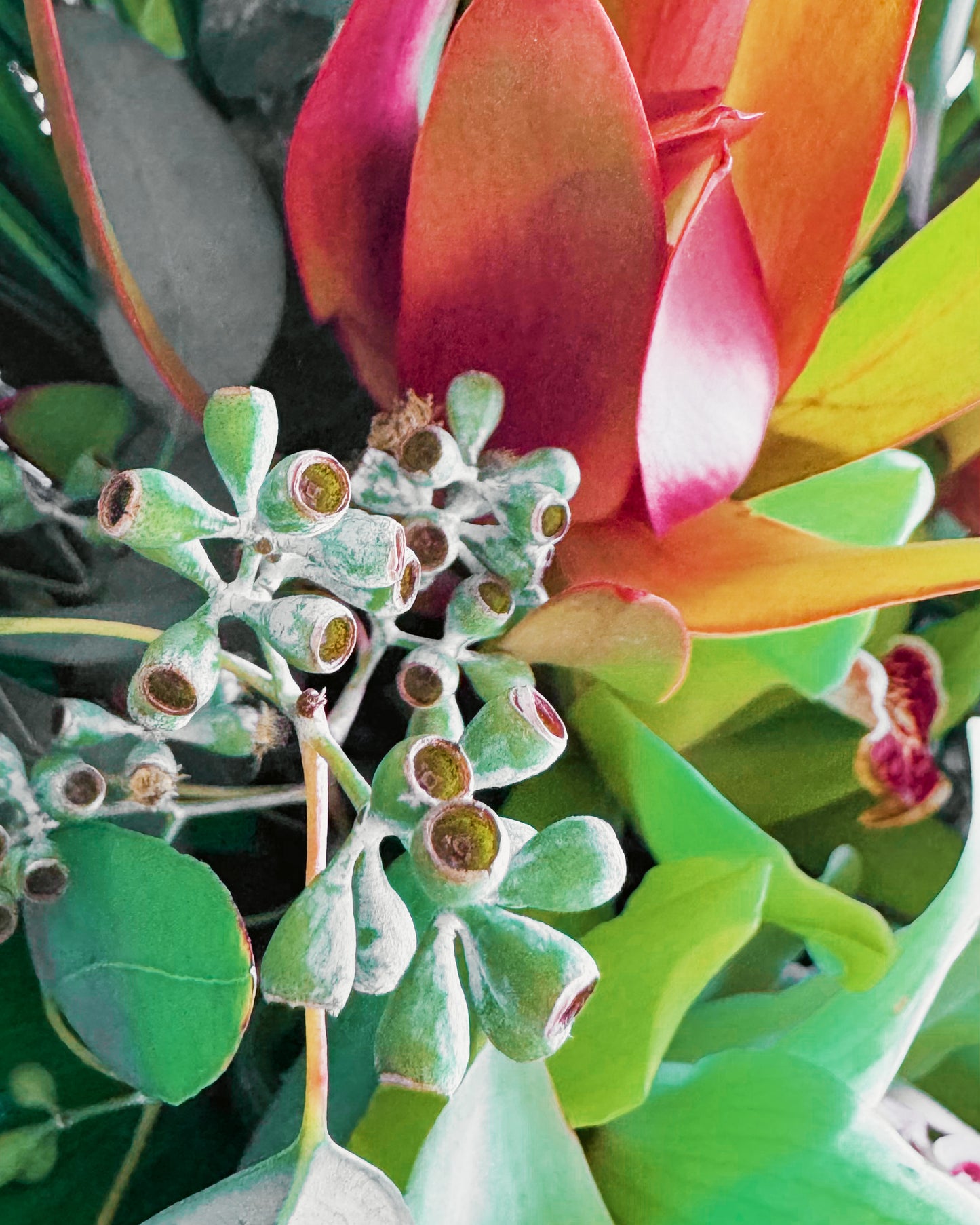 Jungle Jewel
