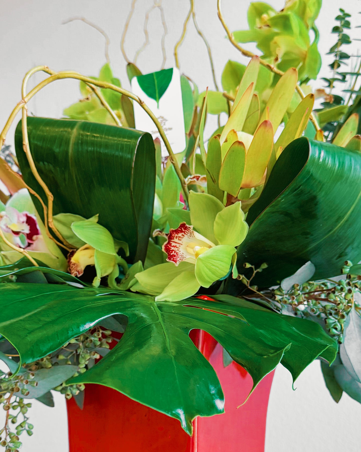 Jungle Jewel