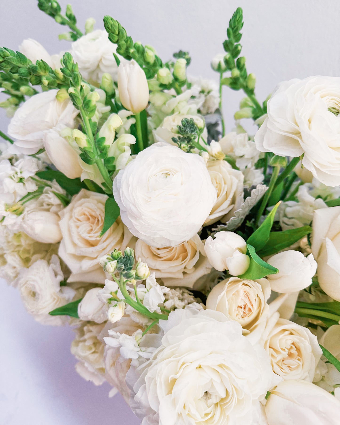 White Wonder