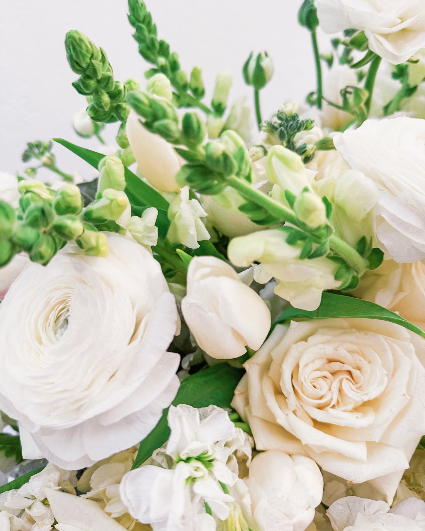 White Wonder