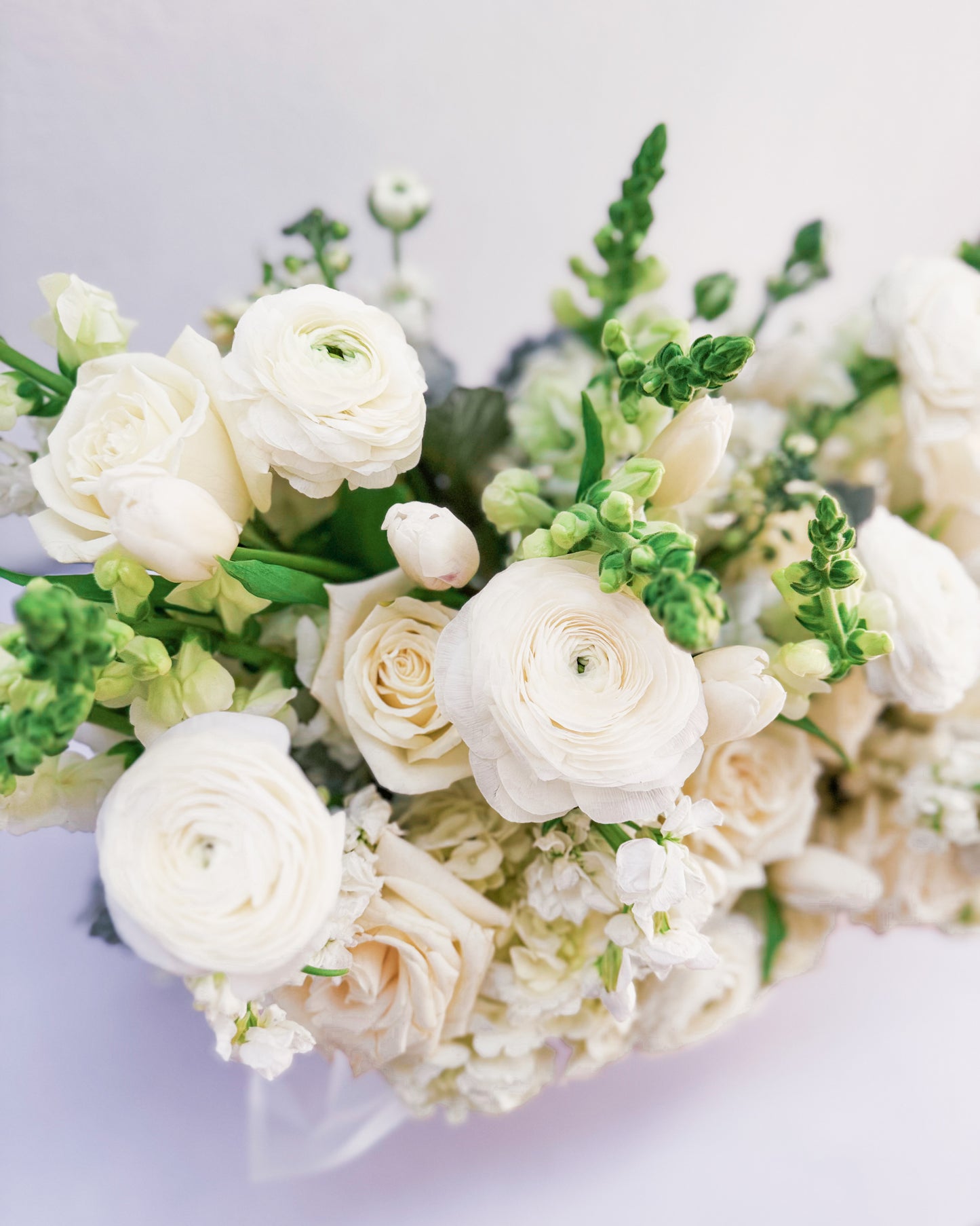 White Wonder