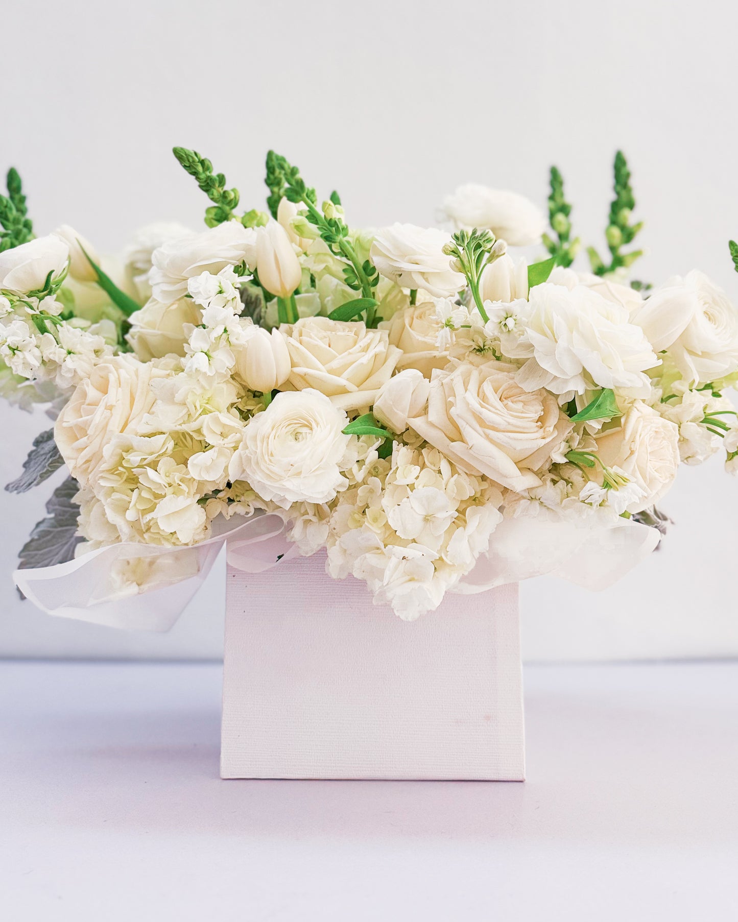 White Wonder