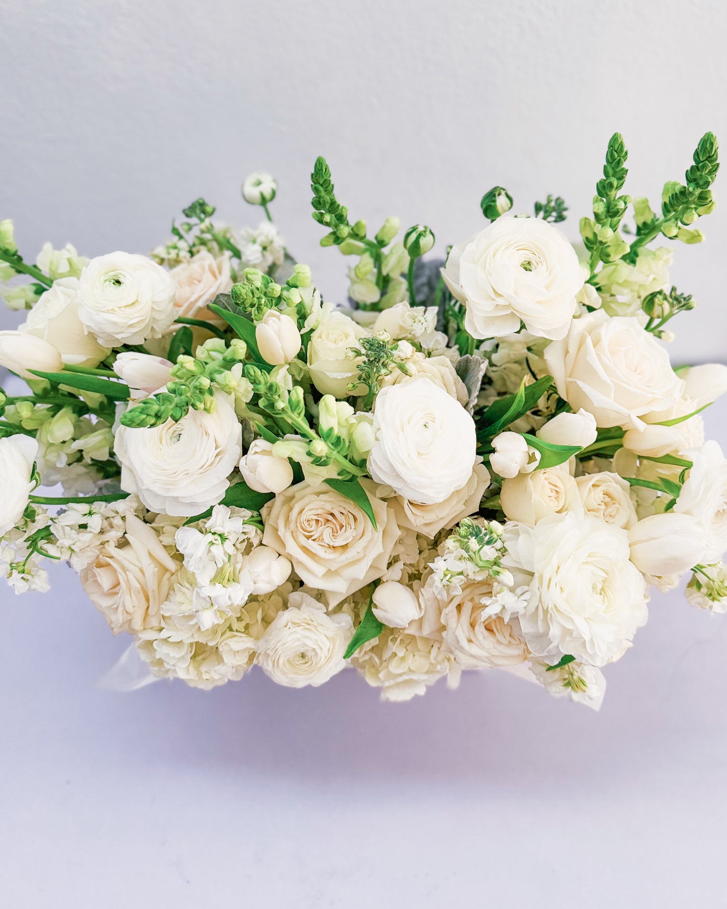 White Wonder