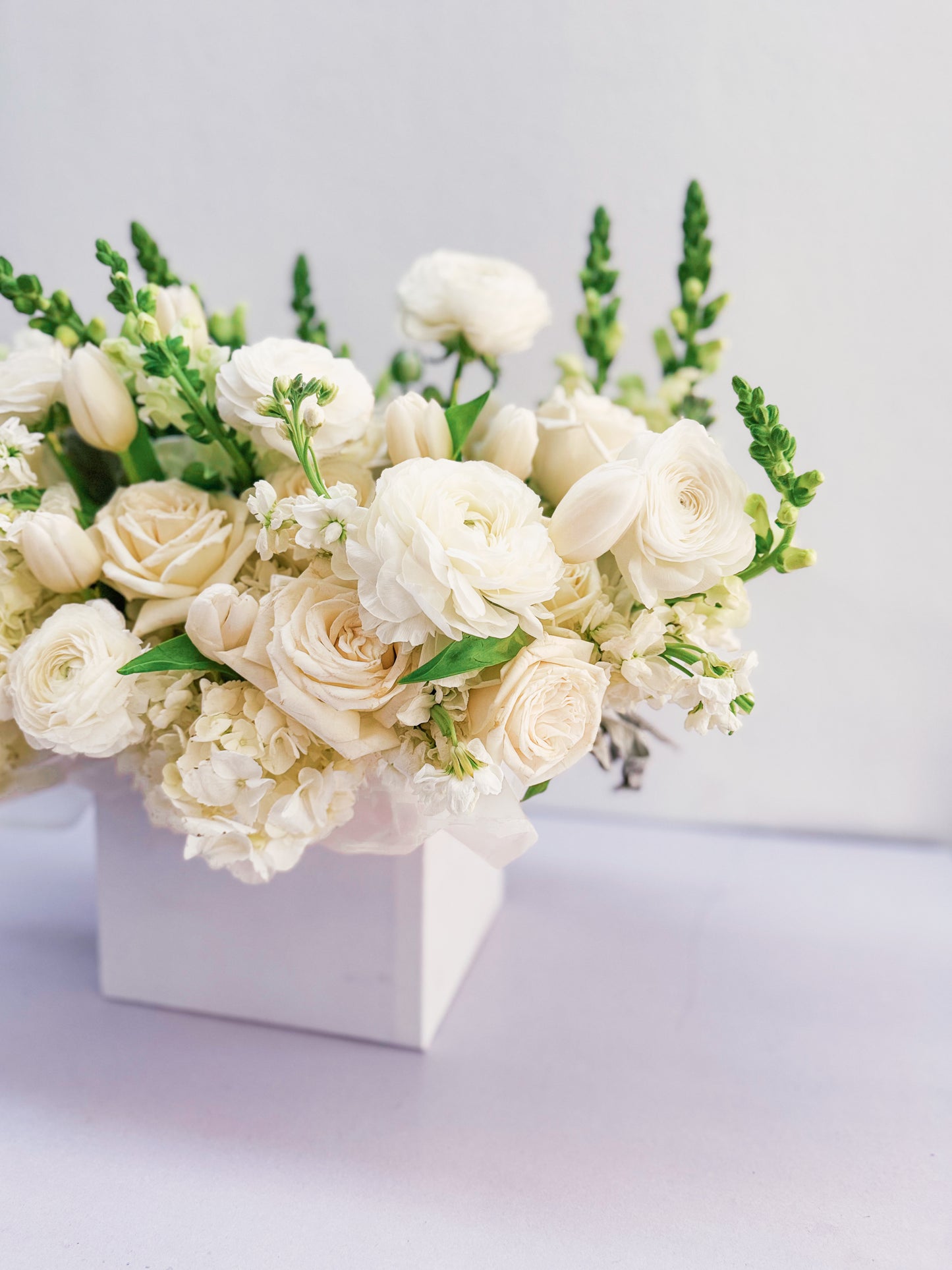 White Wonder