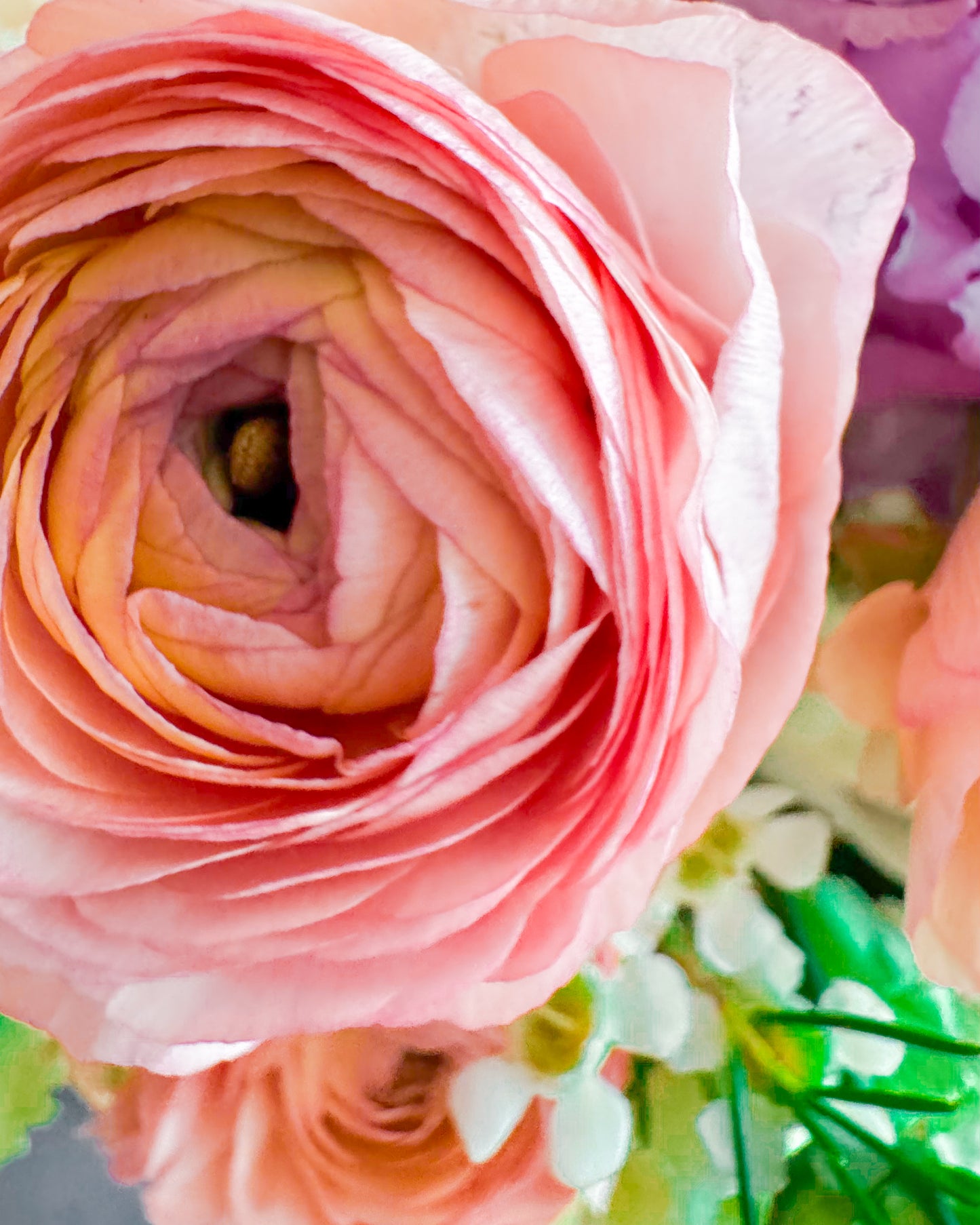 Spring Love