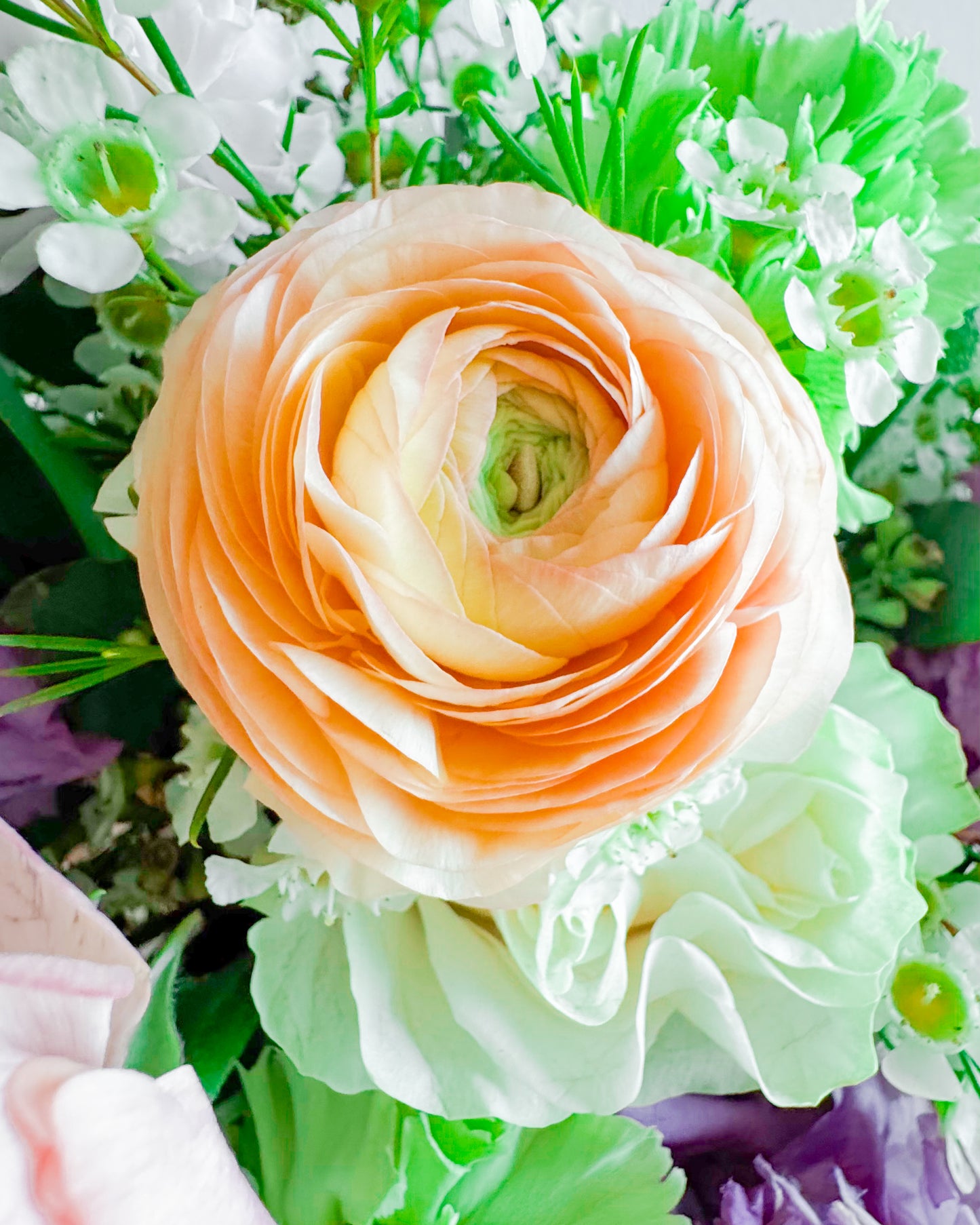 Spring Love