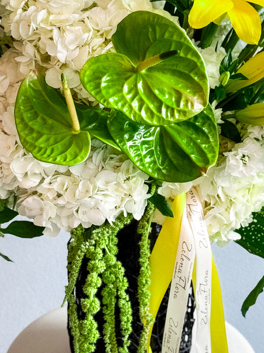 Jem | Personal Edition