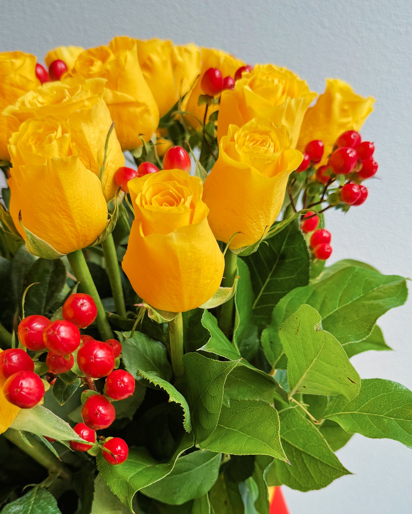 Yellow Rose Of Delight