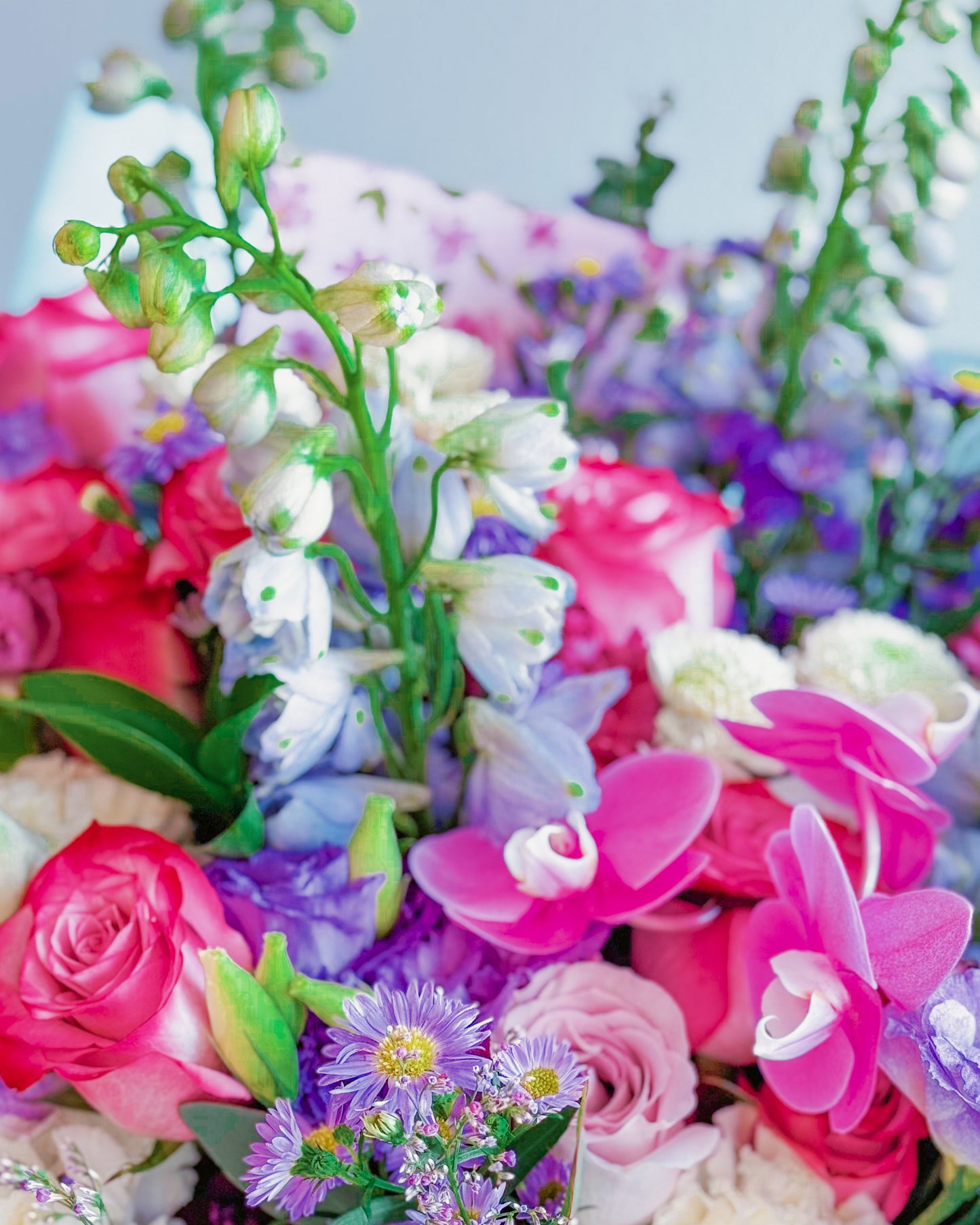 Lilac Letters