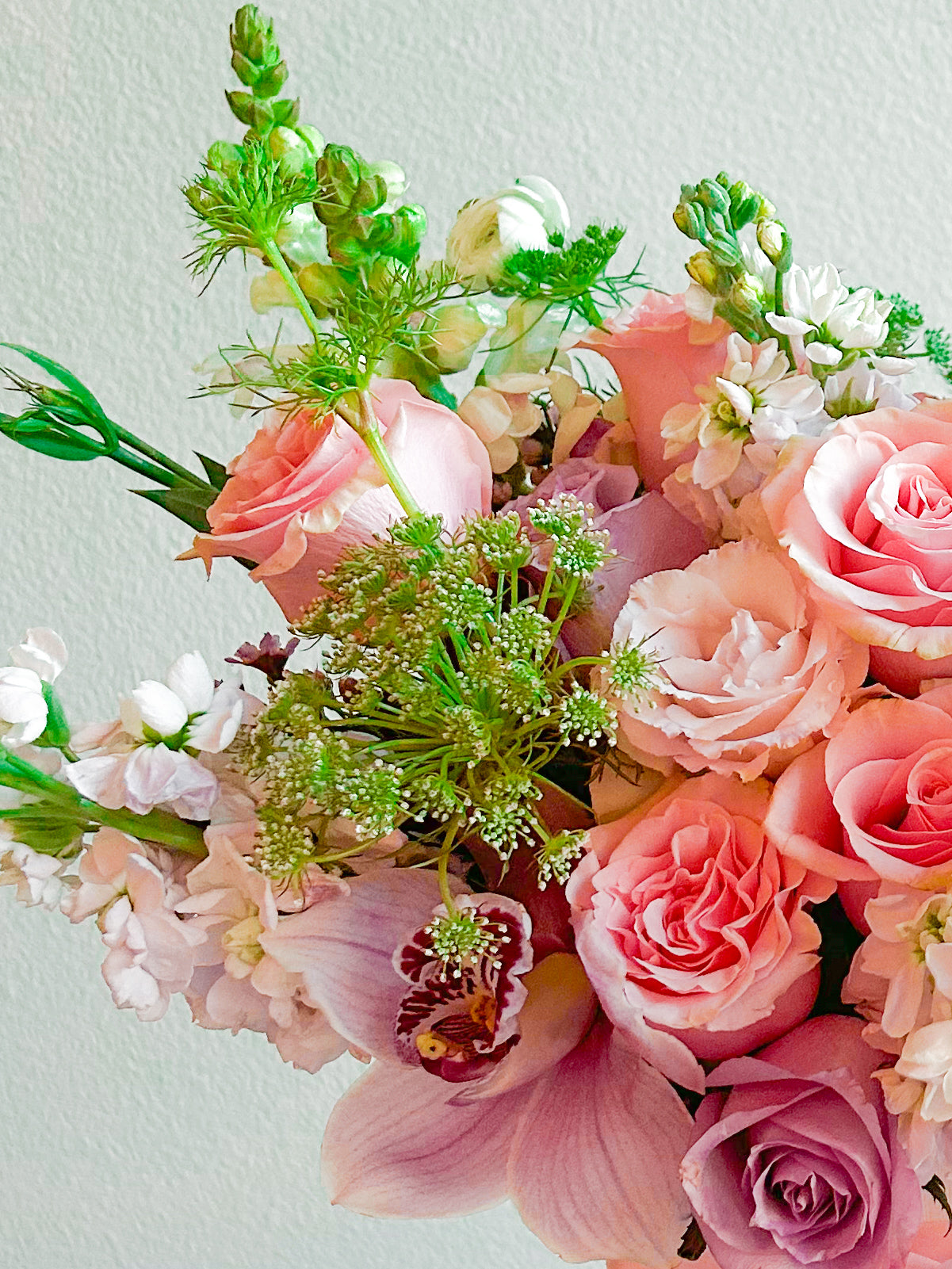 Rosy Rhapsody
