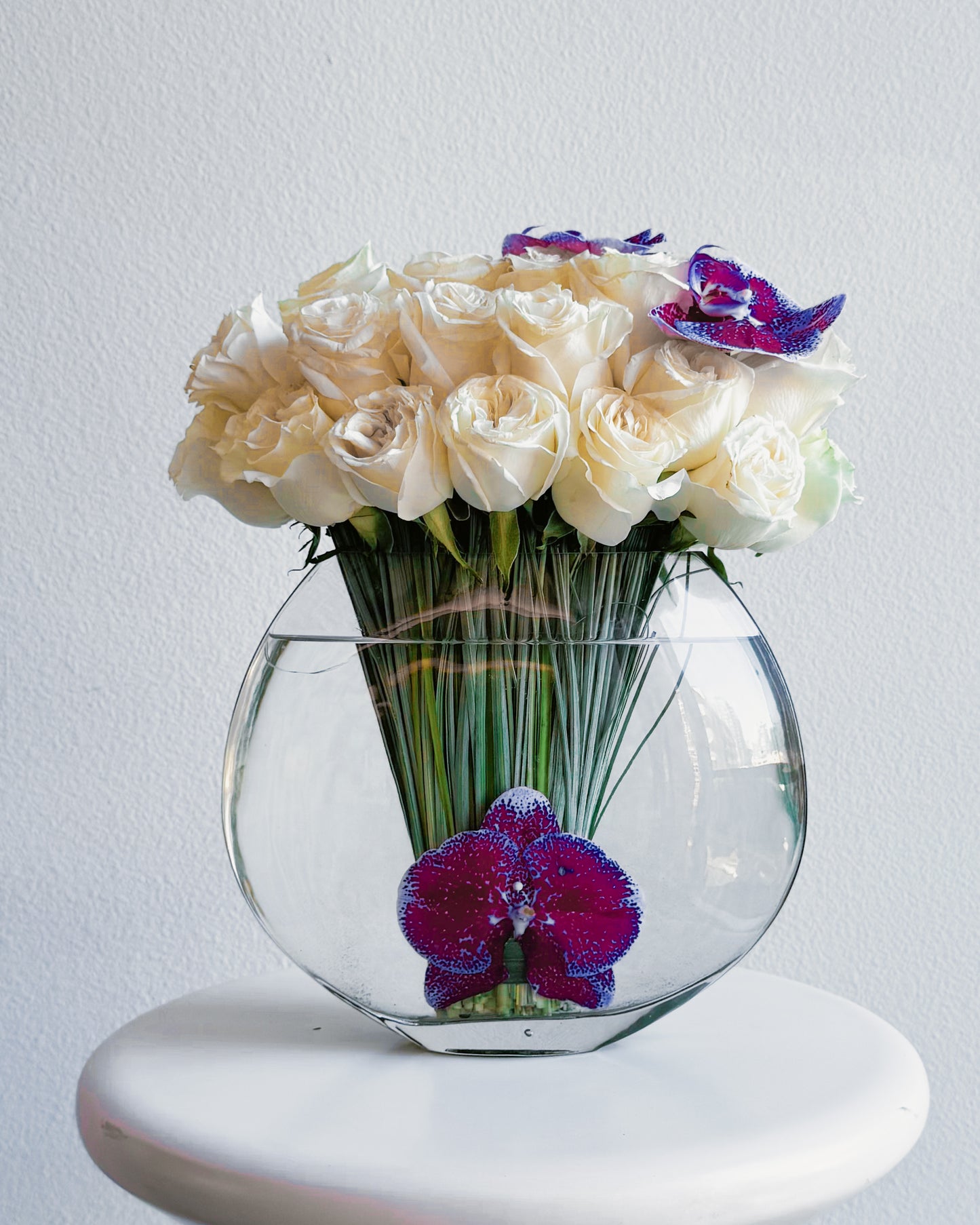 Orchid Elegance