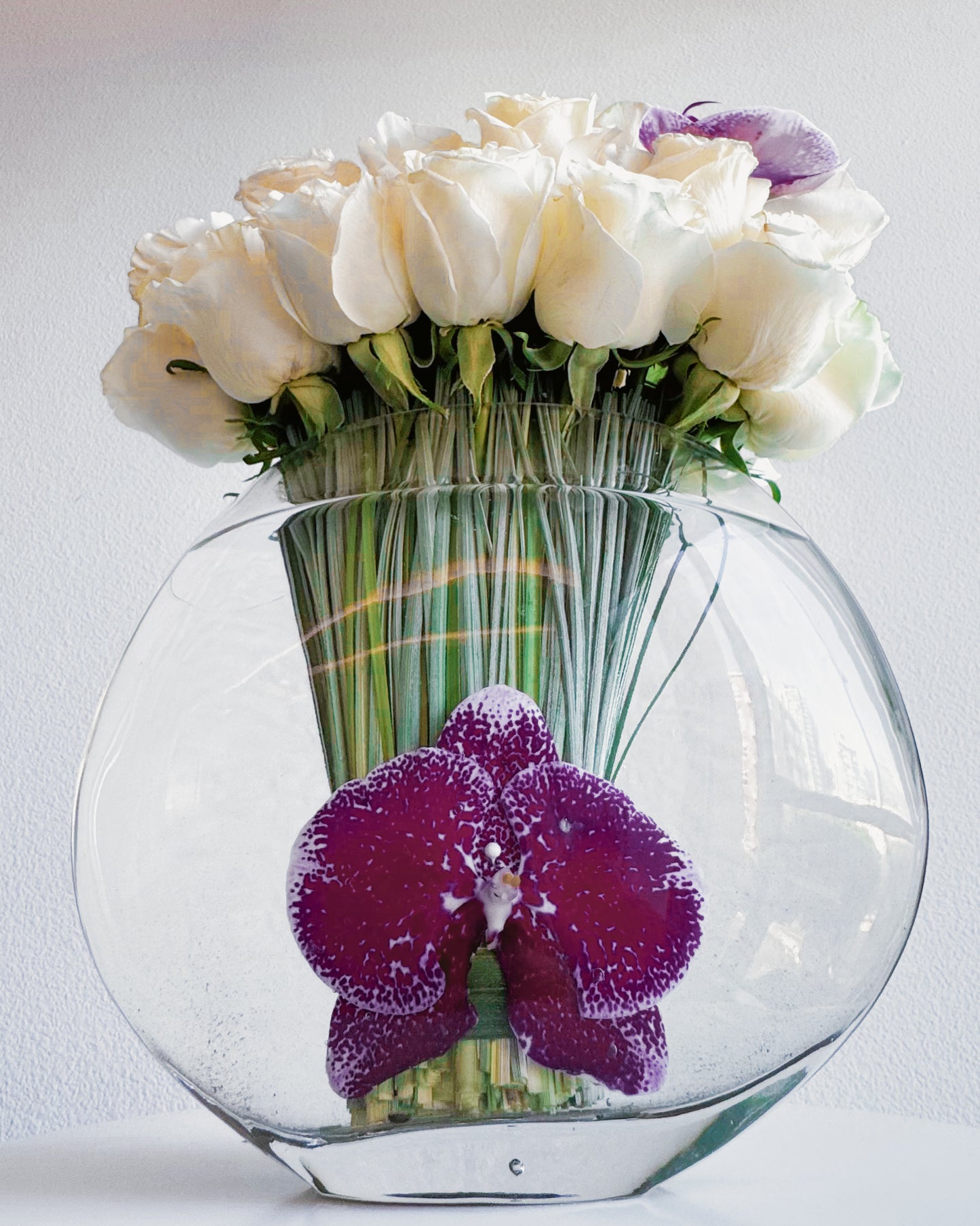 Orchid Elegance