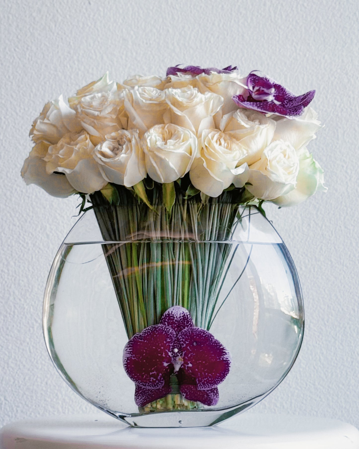 Orchid Elegance
