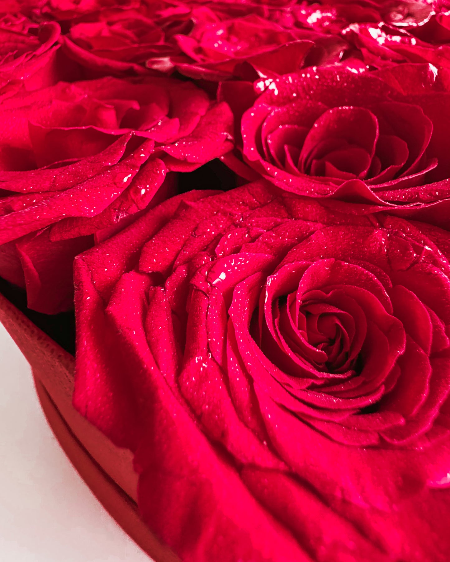 Red Heart