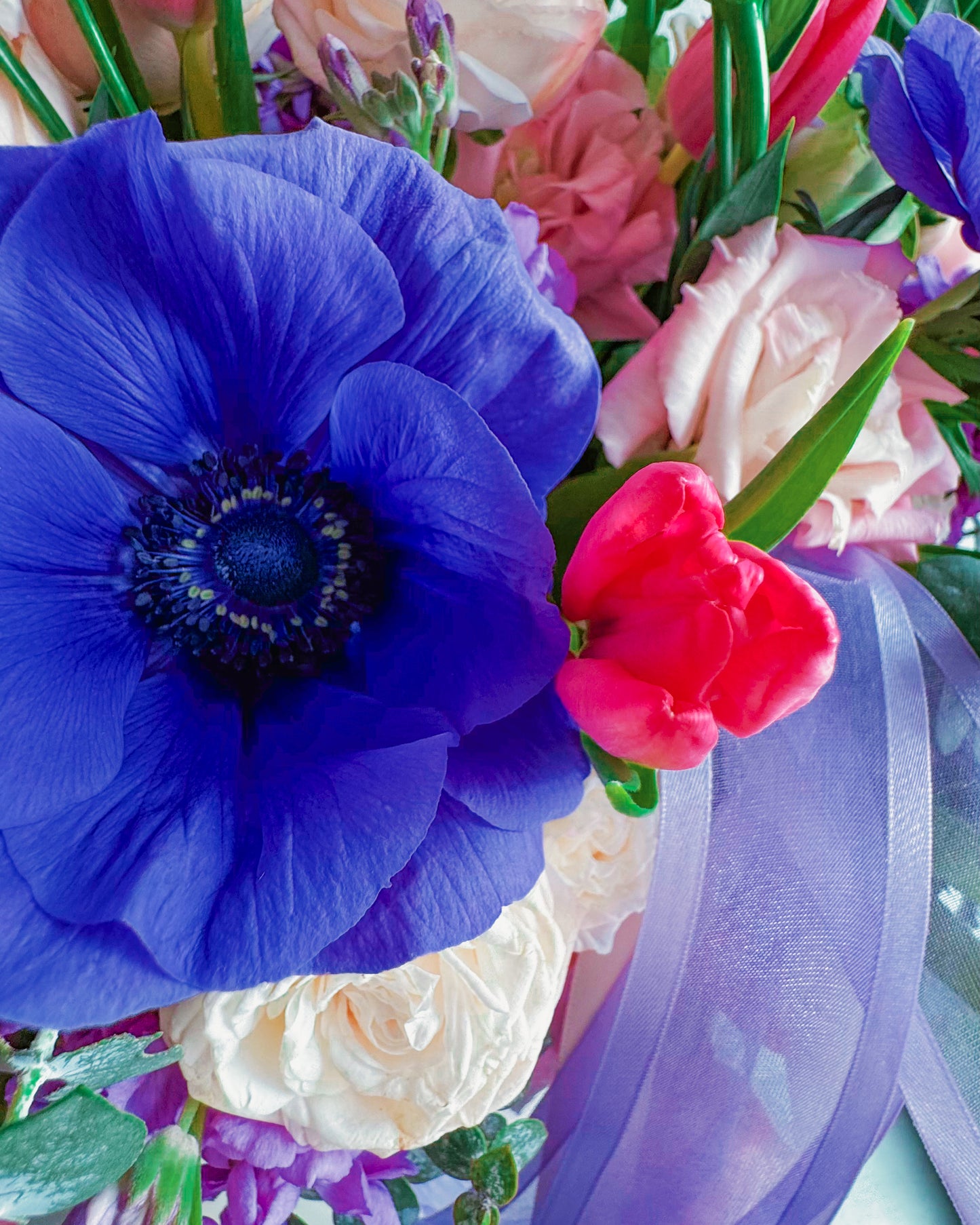 Bloom Boom