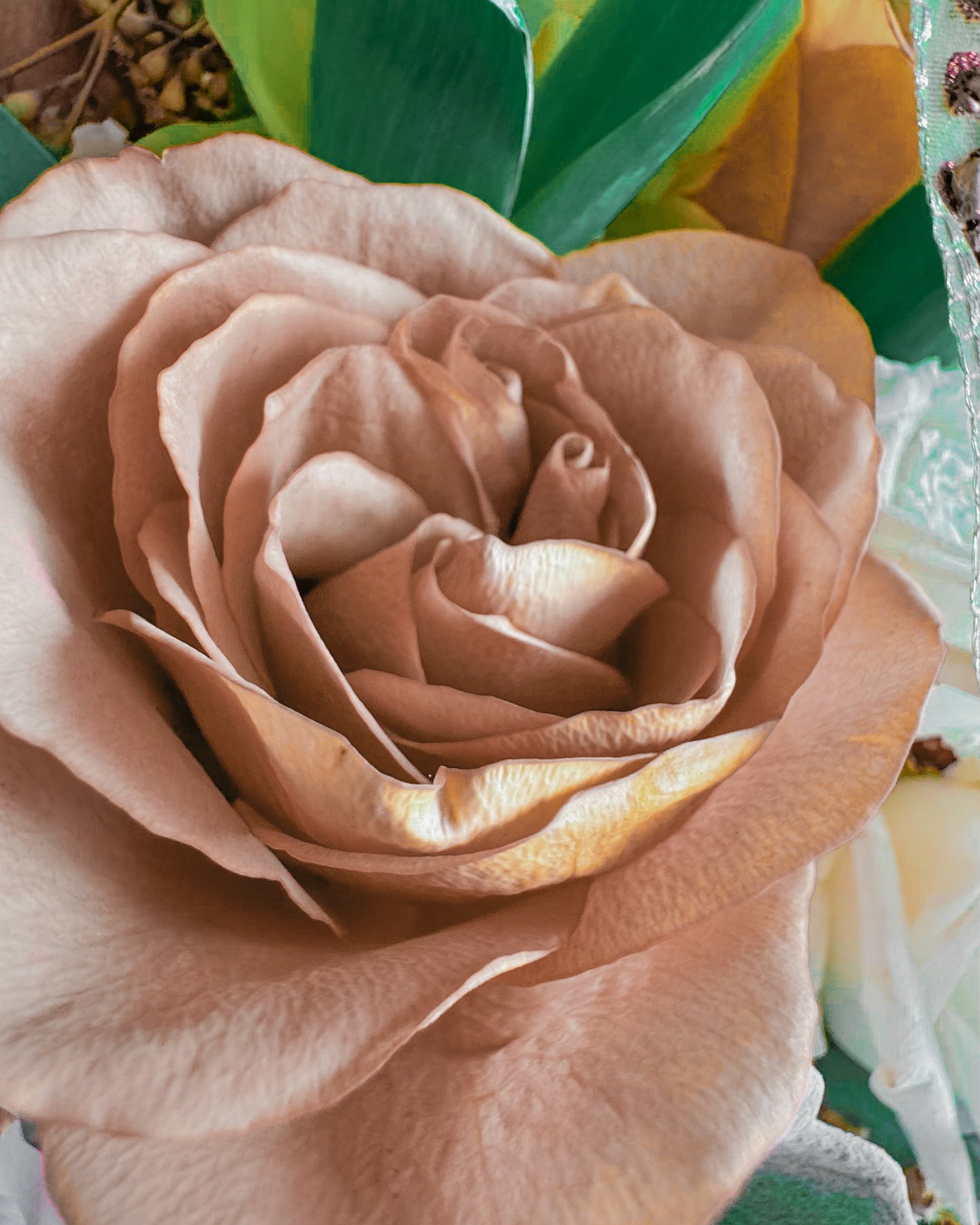 Golden Grace PT25