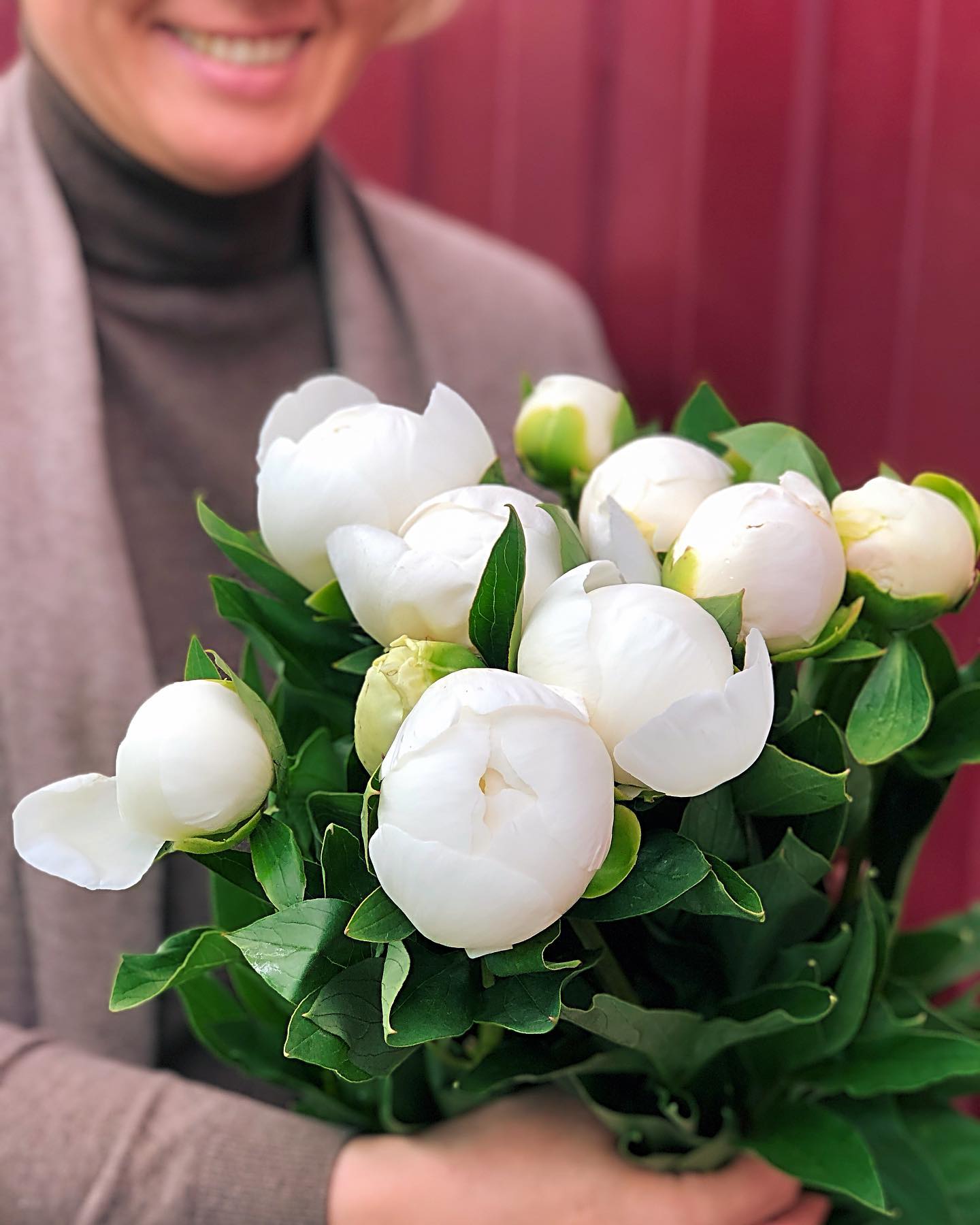 The White Peonies