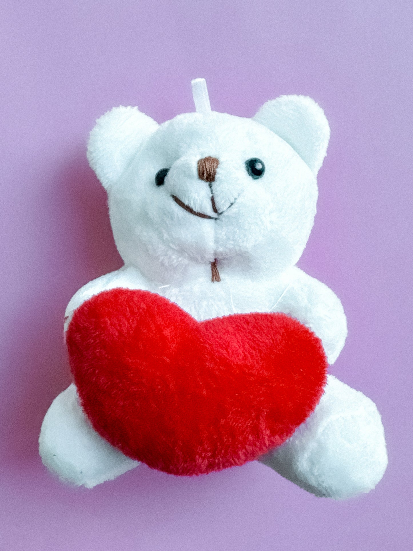 White Teddy Bear