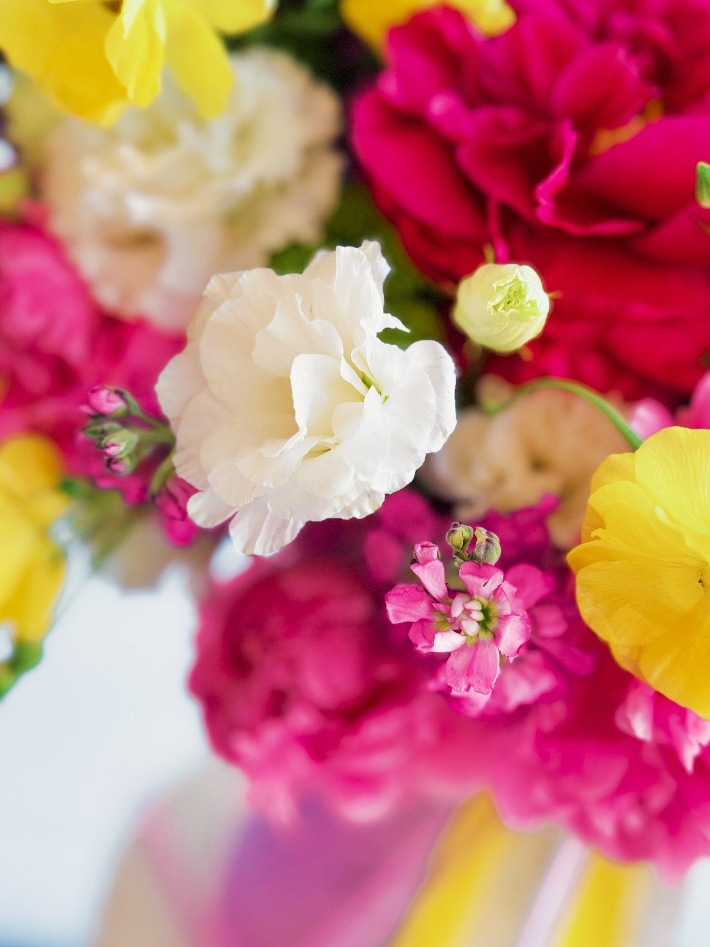 Mood Marvelous large floral box with branded ribbons in 3:4 format | Zelena Flora | Los Angeles