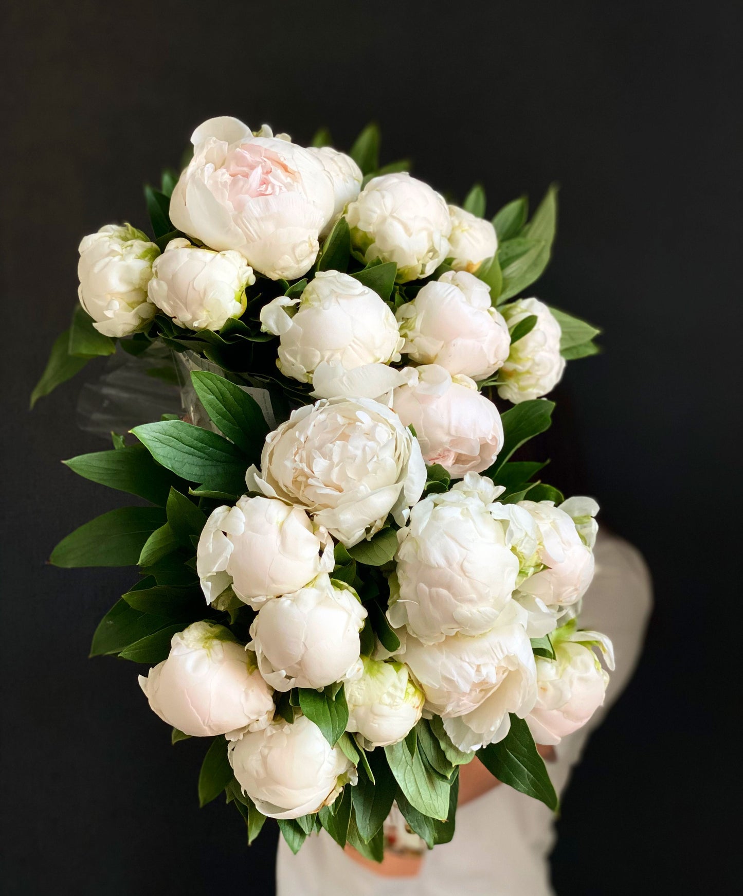 The White Peonies