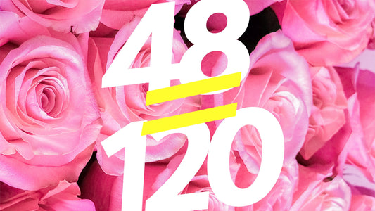 Summer Special: 48 Roses for Just $120 🌹