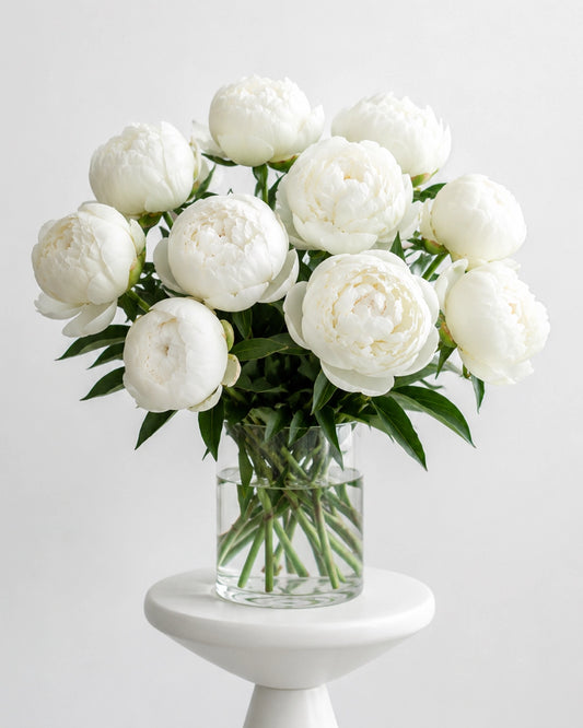 The White Peonies bouquet with fluffy white peony blooms, fresh green leaves, and natural stems by Zelena Flora