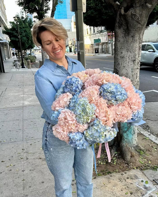 Delicate Cloud of Hydrangeas