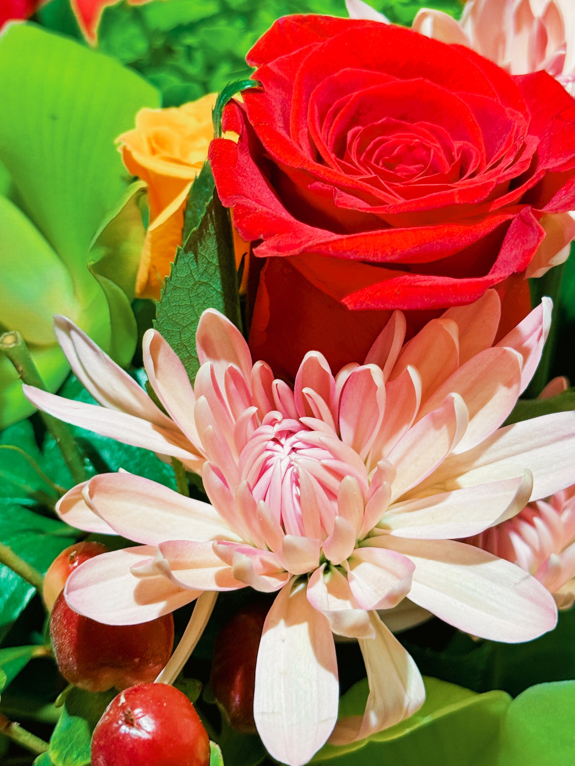 Close-up of a red rose and pink flower with green leaves