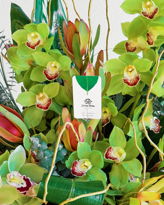 Jungle Jewel