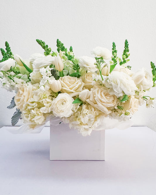 White Wonder