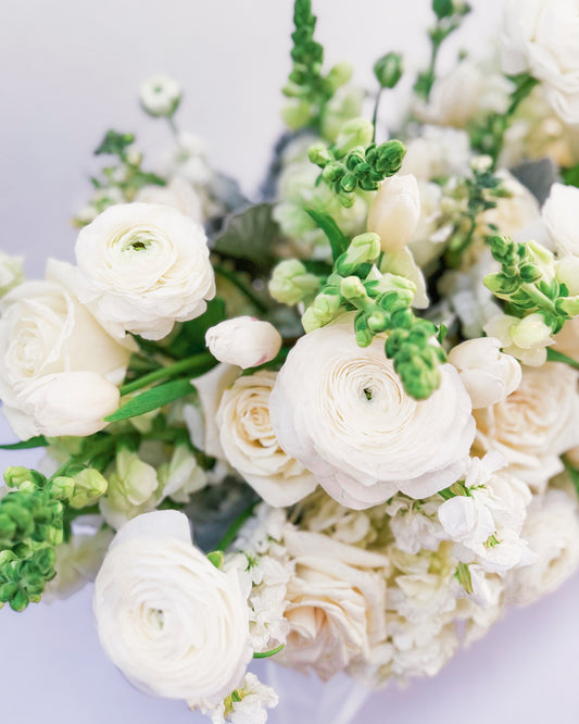 White Wonder