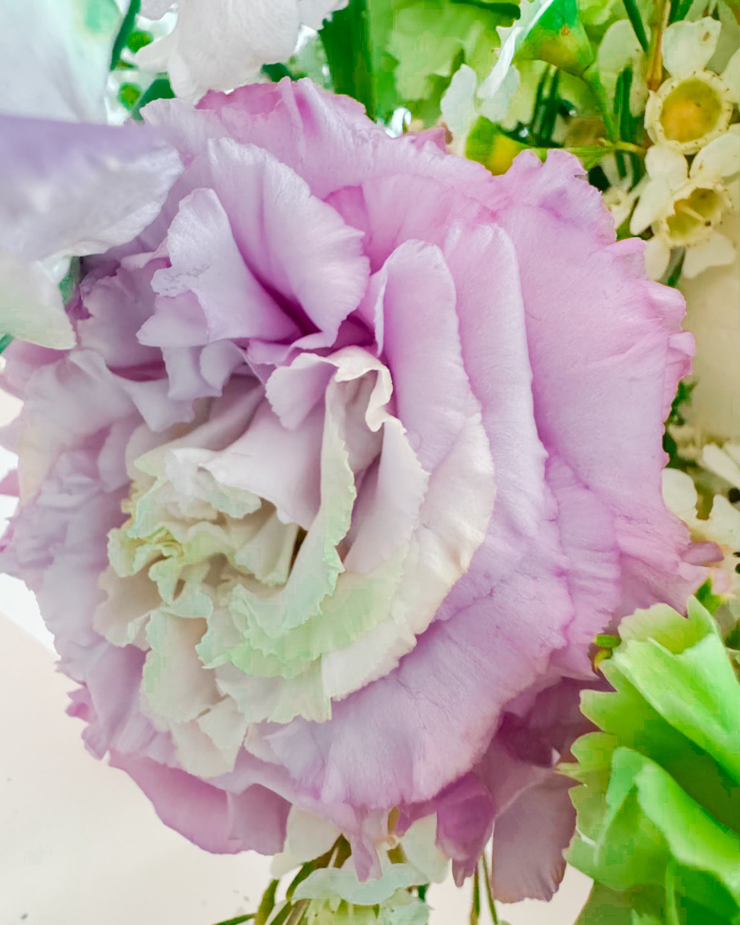 Spring Love