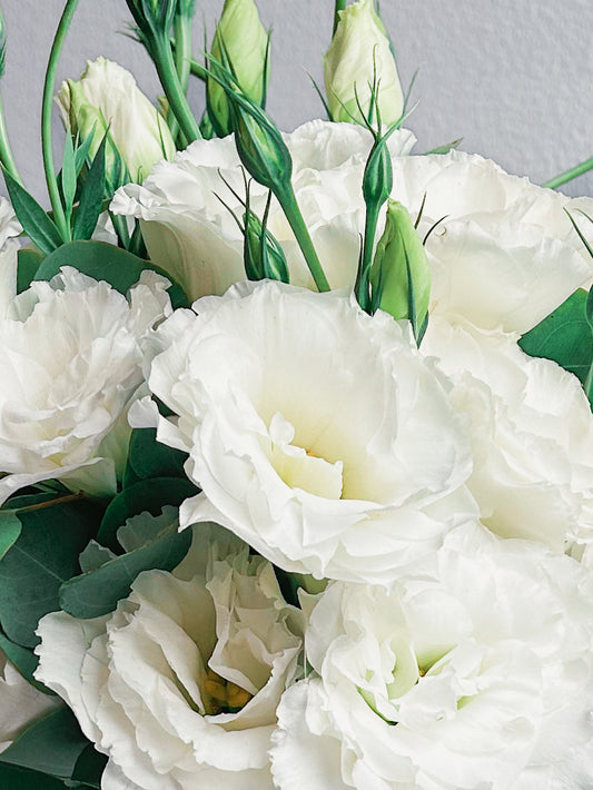 Petal Pact. Bouquet+boutonniere