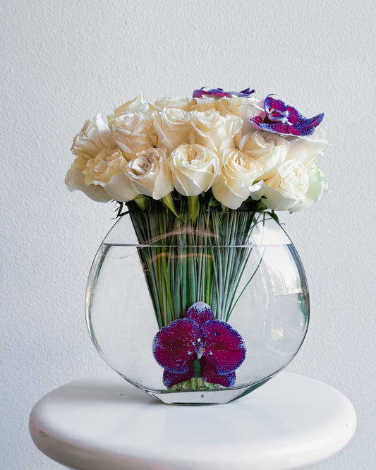 Orchid Elegance