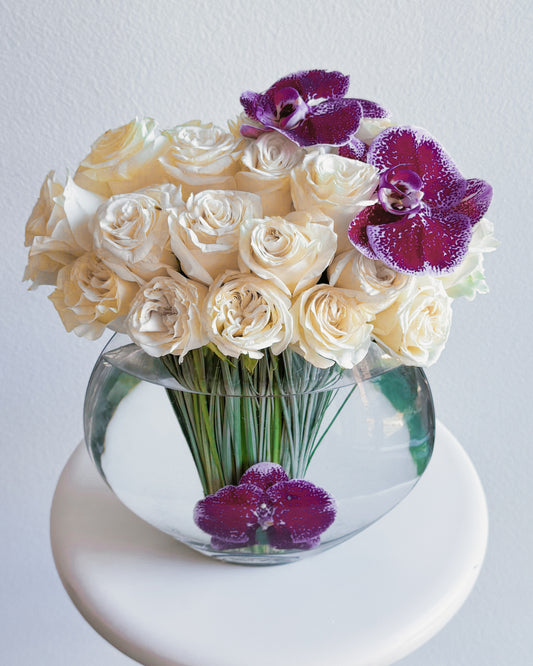 Orchid Elegance