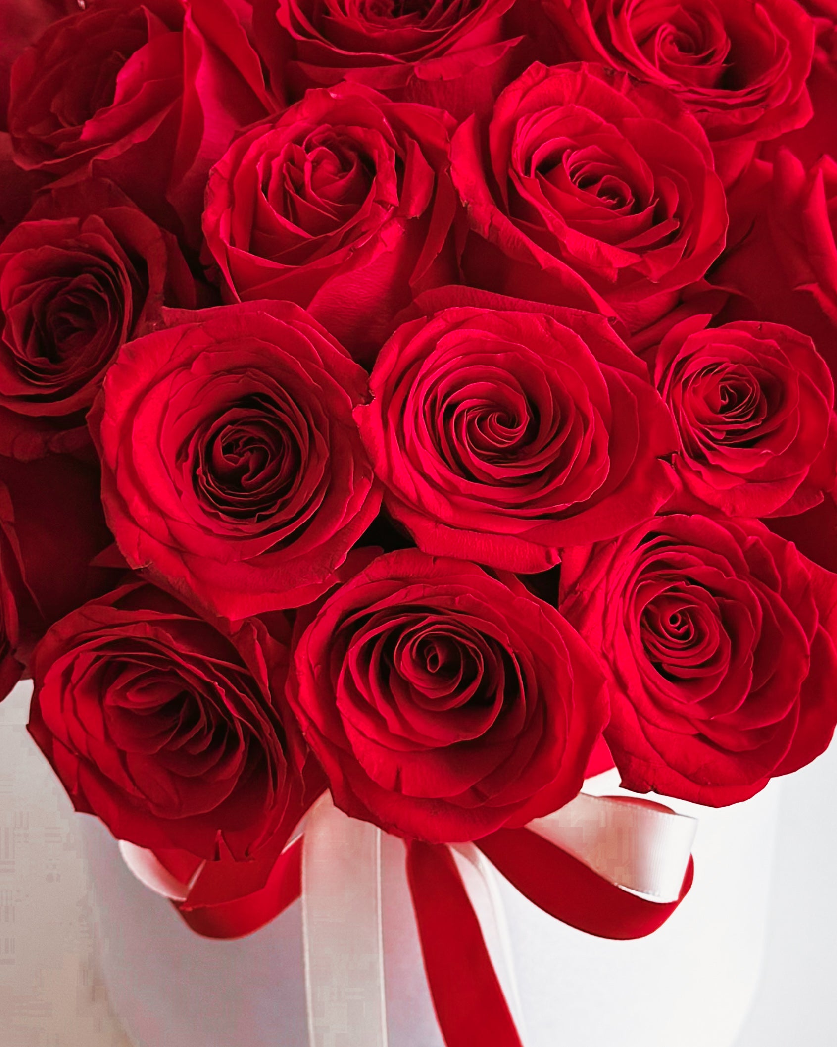 Red Royale Red Rose Flower Box | Zelena Flora Los Angeles