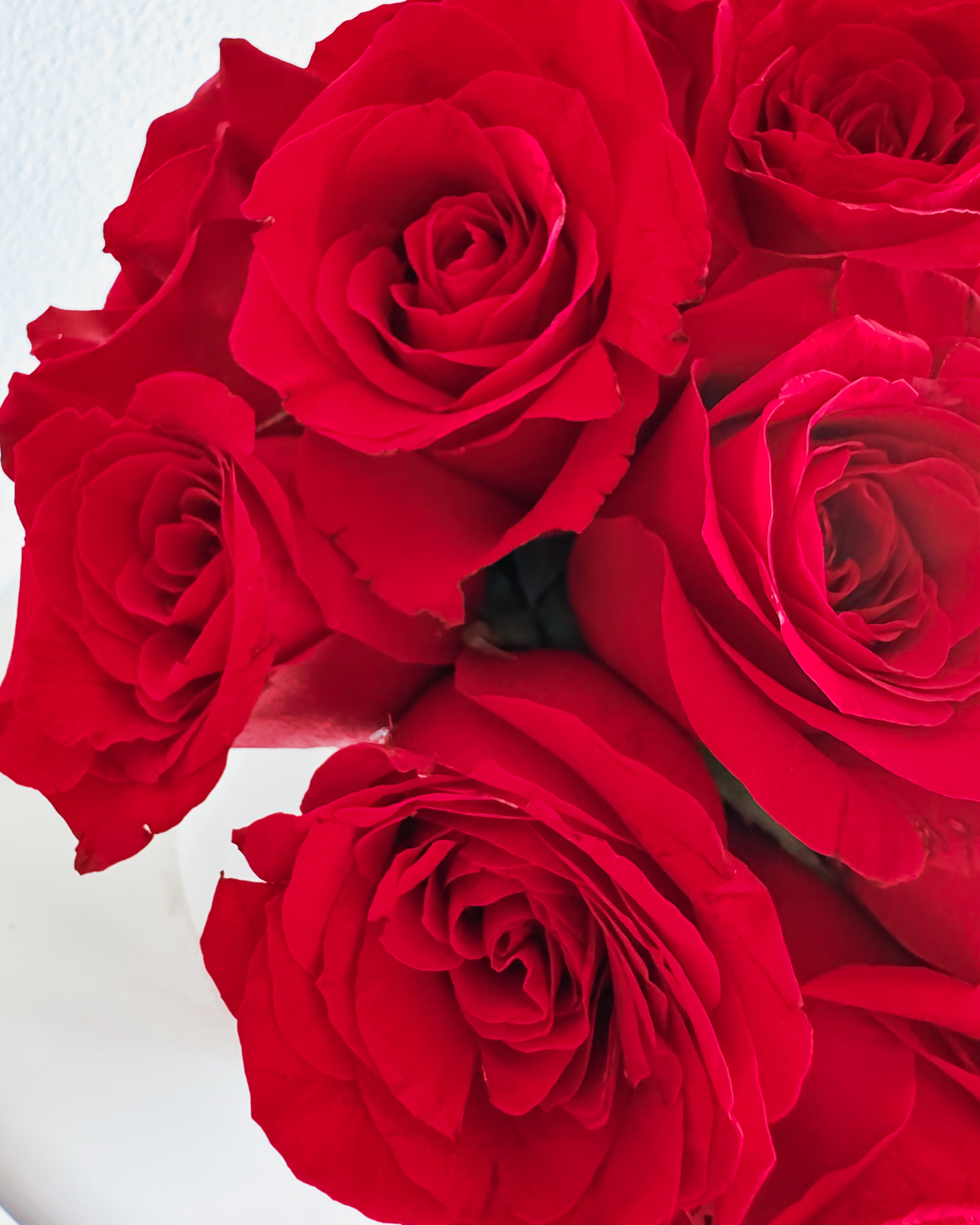 Red Royale Red Rose Flower Box | Zelena Flora Los Angeles