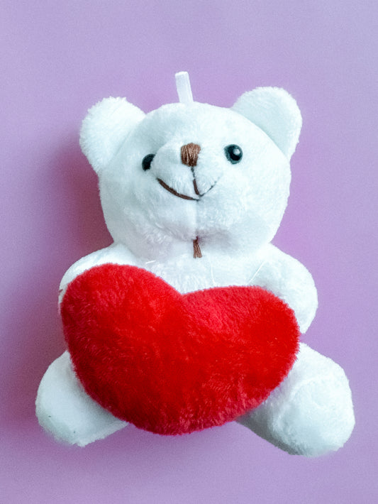 White Teddy Bear