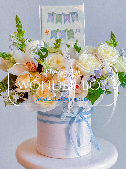 Wonder Boy