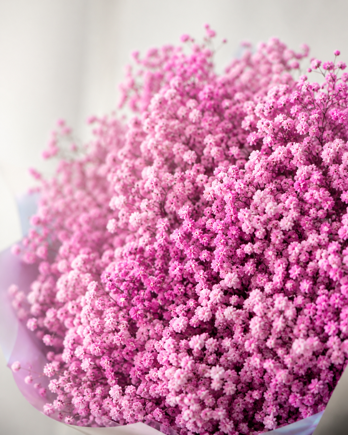 Close-up of Pink Charm bouquet with delicate pink gypsophila baby’s breath flowers | Zelena Flora | Los Angeles