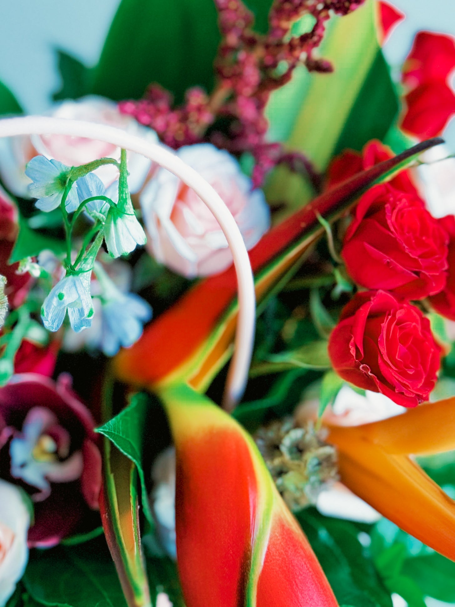 Red spray roses and exotic flowers in Rosy Runway